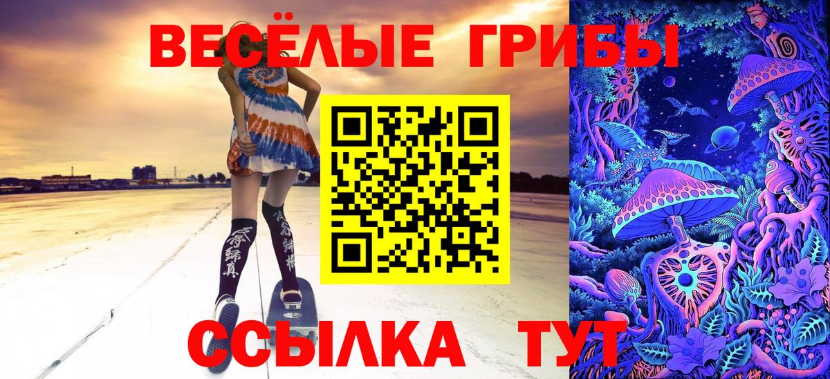 Заволжье  Галлюциногенные грибы Psilocybe  Галлюциногенные грибы ЛСД  Вход с VPN 